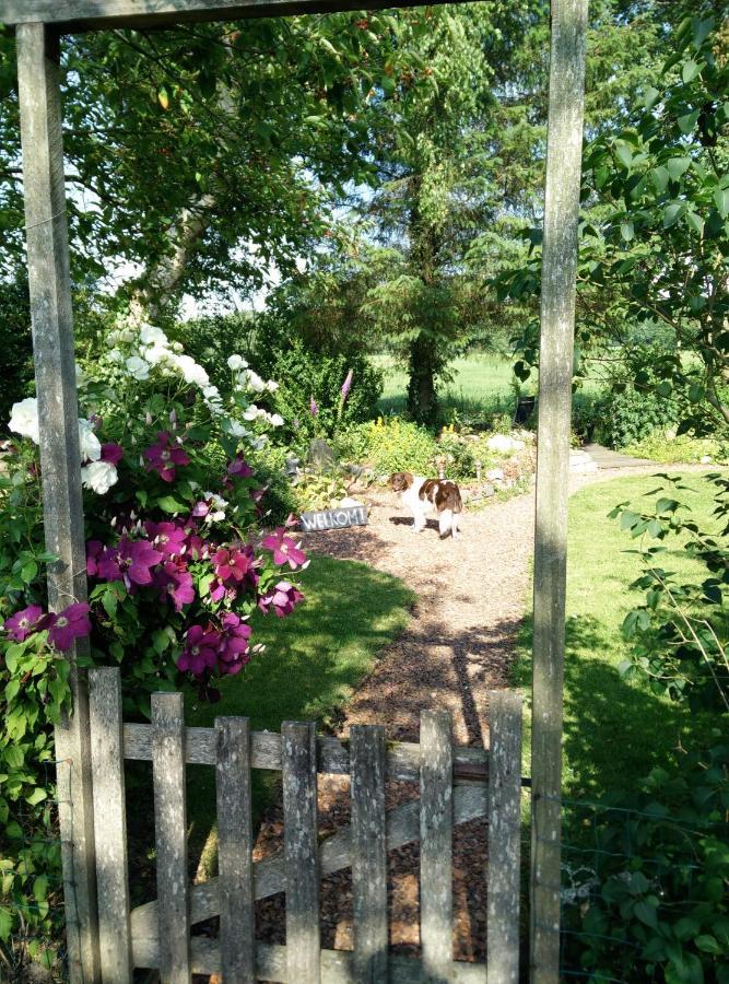 B&B Stateheide Noordbergum Extérieur photo
